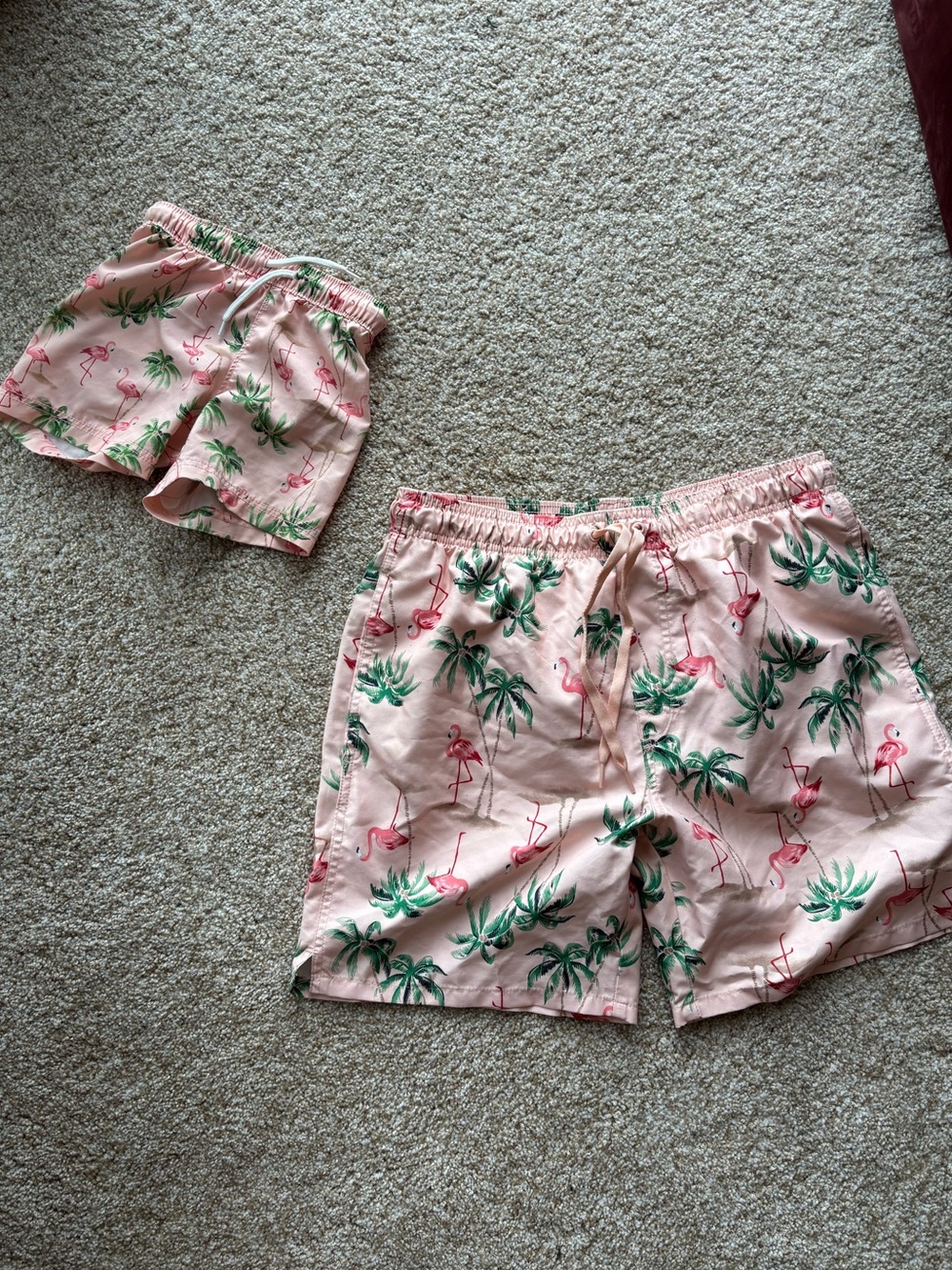 Old Navy Flamingo Swim Shorts Men’s and Baby set